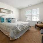 Windows Blinds