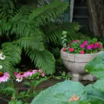 Garden Plants for Shade