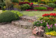 16 Best Backyard Landscaping Ideas Backyard Landscaping